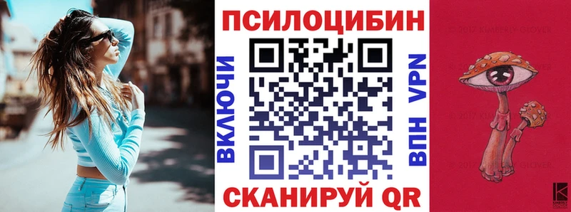 KRAKEN рабочий сайт  Раменское  Галлюциногенные грибы Psilocybe  где найти  